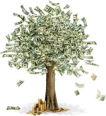 money-tree