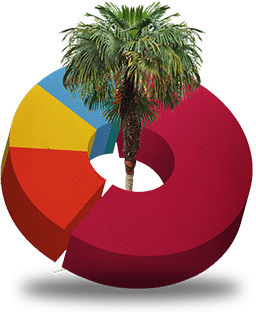 South-Carolina-Debt-Settlement